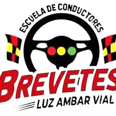 Escuela de Conductores Luz Ambar Vial