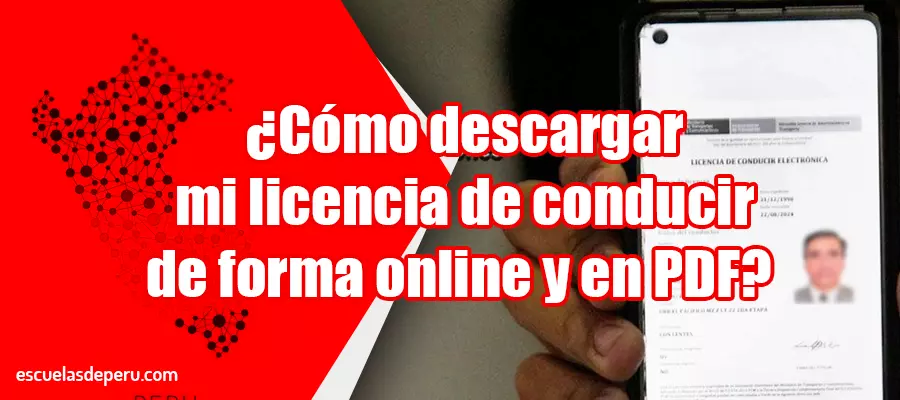 ¿Cómo descargar mi licencia de conducir de forma online y en PDF?
